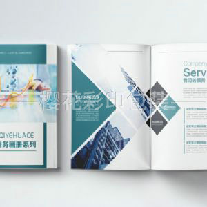 企業(yè)畫(huà)冊(cè)樣本