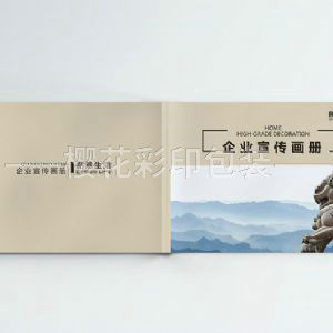 企業(yè)畫(huà)冊(cè)樣本